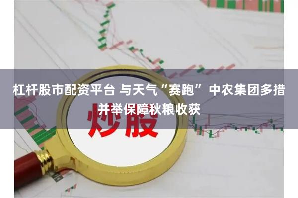 杠杆股市配资平台 与天气“赛跑” 中农集团多措并举保障秋粮收获