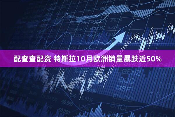 配查查配资 特斯拉10月欧洲销量暴跌近50%