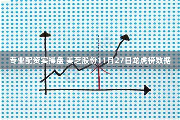 专业配资实操盘 美芝股份11月27日龙虎榜数据
