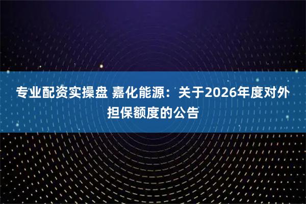 专业配资实操盘 嘉化能源：关于2026年度对外担保额度的公告